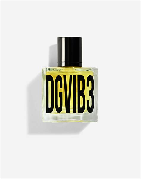 dolce and gabbana vib3